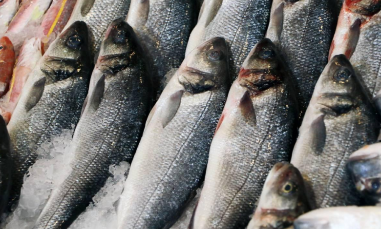Balık Tüketmek İçin 5 Önemli Neden Nedir?